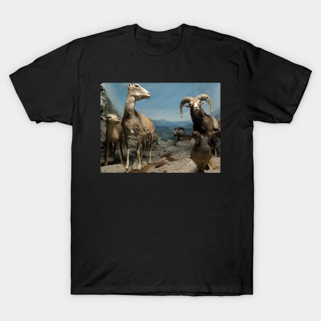 Natural environment diorama - steinbocks T-Shirt by Reinvention